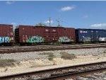 CIBX 759064